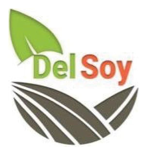 Del Soy logo